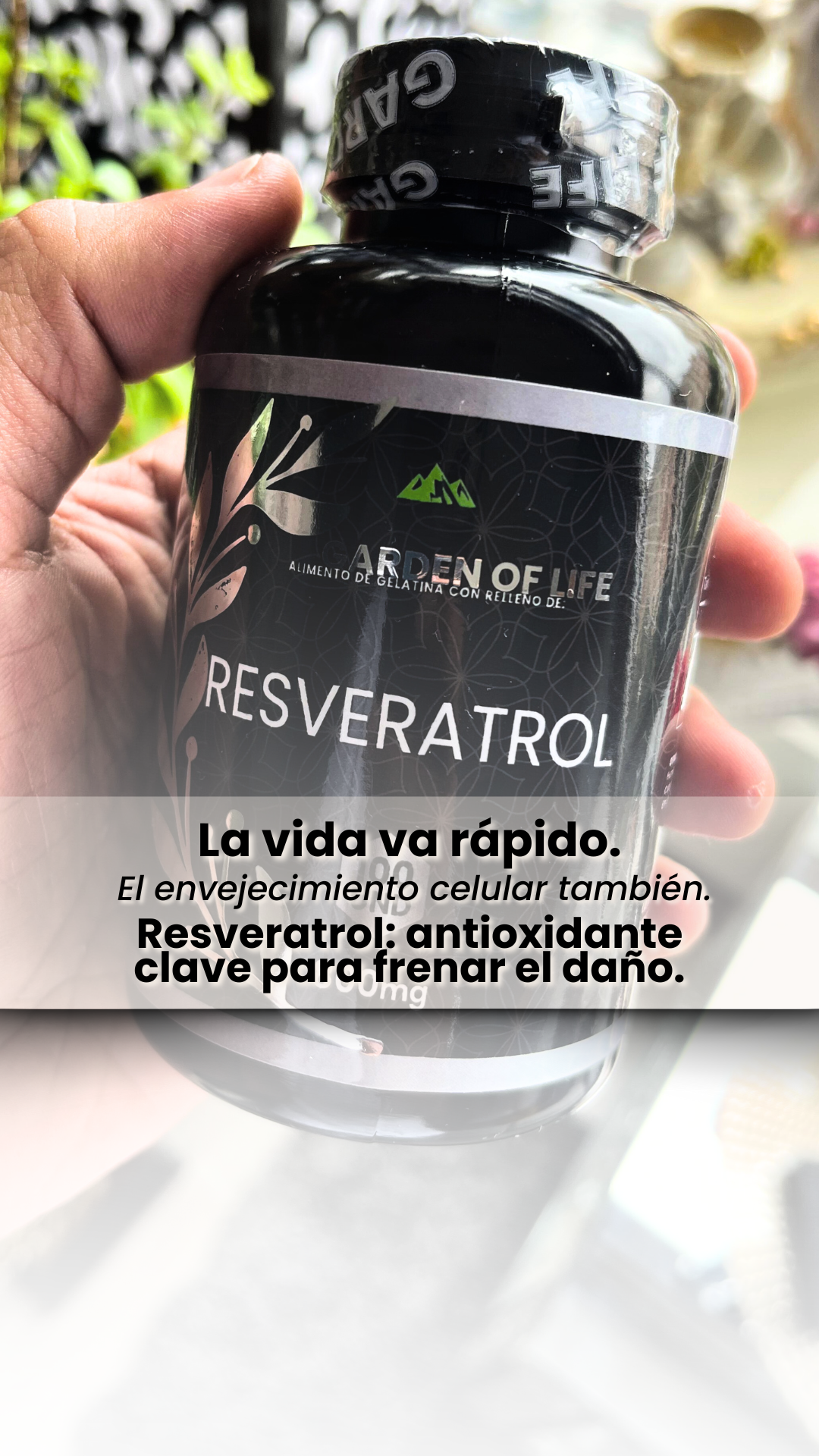 RESVERATROL BLACK (REGISTRO INVIMA)